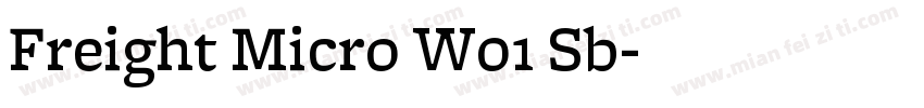 Freight Micro W01 Sb字体转换